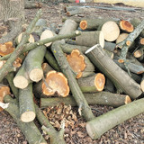 IMG20251102122150
