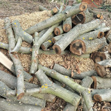 IMG20251102122057