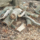 IMG20251102122121