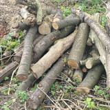 IMG20251102122031