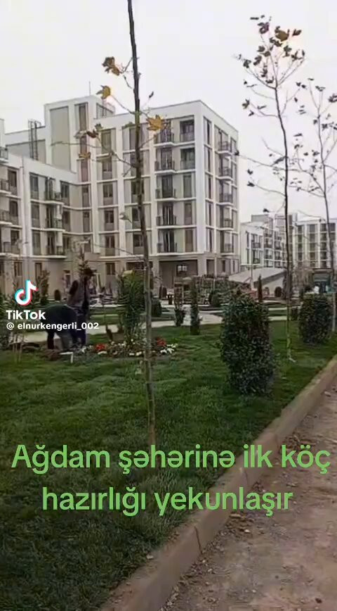 W9kshhRFh7unPX87.jpg