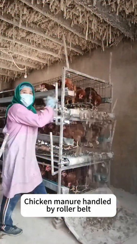 pRj L0PlzpOwqMcM.jpg