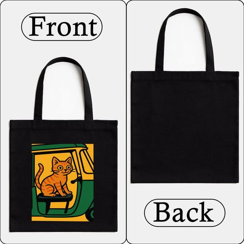 Cat in Auto Rickshaw.jpg