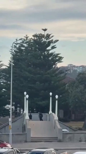 5eCB6JaeIbvNOQW .jpg