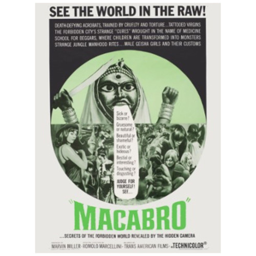 Untitled design (39).jpg