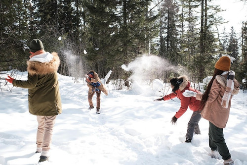 vrienden hebben sneeuwballengevecht 274679 35126.jpg