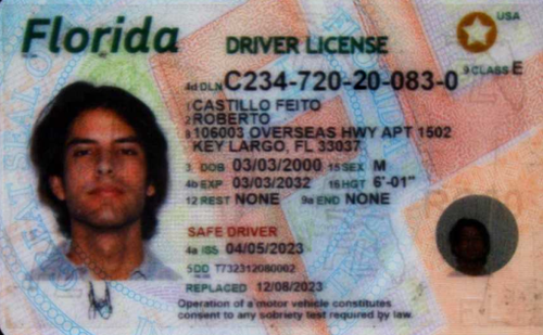 Roberto Castillofeito license image.png