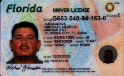 Michaelangelo Granados license image.png