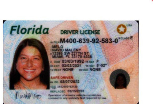 Navid Maleny Melo license image.jpg