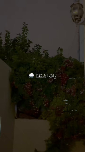 XfMoUiLnjbXKTZKk.jpg