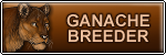 ganache breeder banner.png