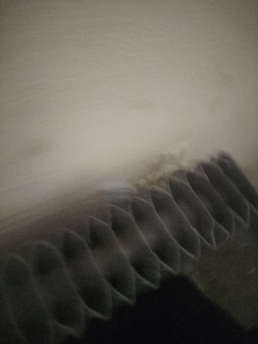 1000368093.jpg