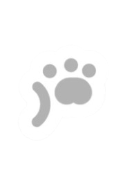 屏幕截图 2025 12 15 025107 removebg preview.png