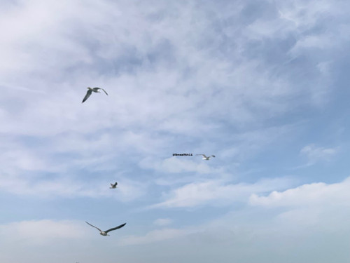 G8DPDeVaIAAGEG ?format=jpg.jpg