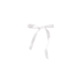 Image 1770044912054 515