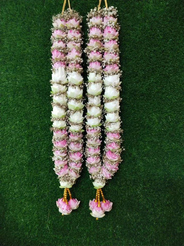 4883f996 6fb4 47fb a169 02775dfcbd4c.jpg