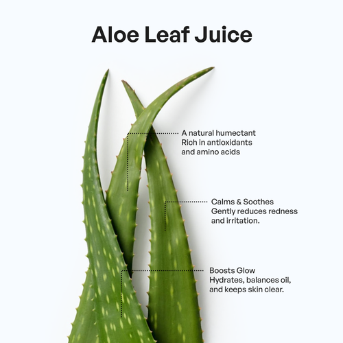 Ingredients FoamingOilCleanser.png