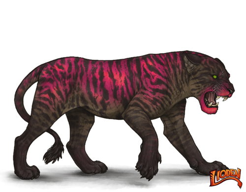 lioden wardrobe 2026 02 01T224459.019.png