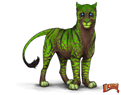 lioden wardrobe 2026 02 01T224342.984.png