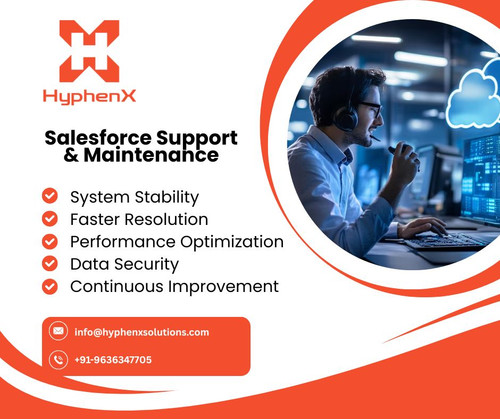 Salesforce Support & Maintenance.jpg