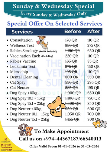 Sunday & Wednesday Special.jpg