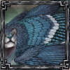 bluejay thumbn.png