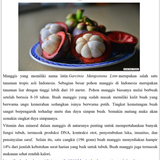 soal 25,26.png