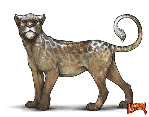 lioden wardrobe (23).png