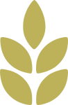 grain.png