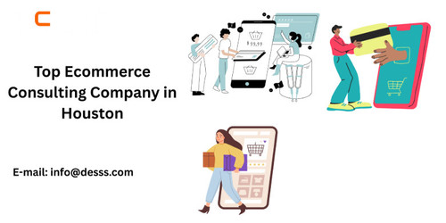 Top Ecommerce Consulting company in Houston.jpg
