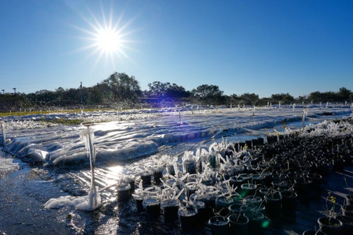 Frigid Cold to Linger Across US After Weekend Bomb Cyclone.jpg
