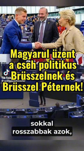 dtN3ZiEc0kmo2adR.jpg