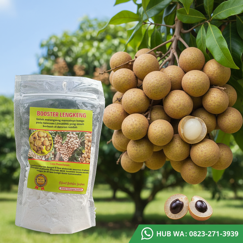 foto slot 1 (12).png