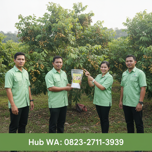 foto slot 14 (3).png