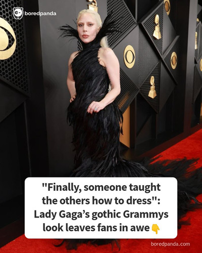 image 1 2026 02 01T225730.795.jpg