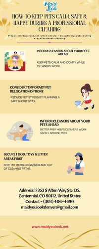 What Should I Do with My Pets During a Professional Cleaning.jpg