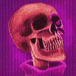1000002211.jpg