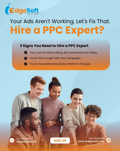 You Need to Hire a PPC Expert I'm Your Solution..jpg