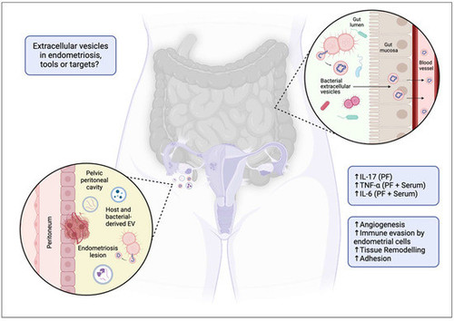 G 5YfoabUAAtGTG?format=jpg.jpg