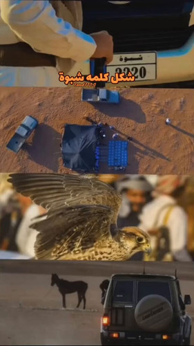 pFb liGRFPmApcvn.jpg