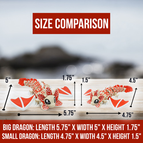 SIZEINFO DRAGONS 1.jpg