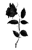 未标题 3jkadhklhasl.png