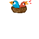 chicks.3