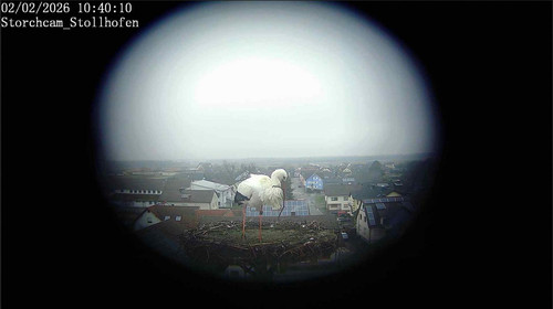 MWSnap017.jpg