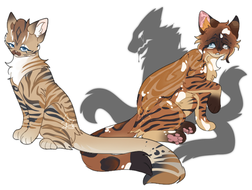 Shellpaw and Emptypaw.png