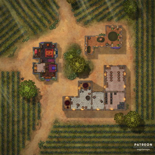 resized Vineyard.jpg