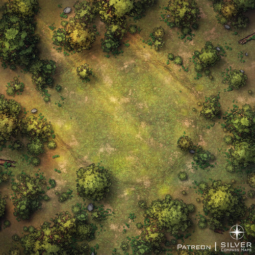 resized Clearing.jpg