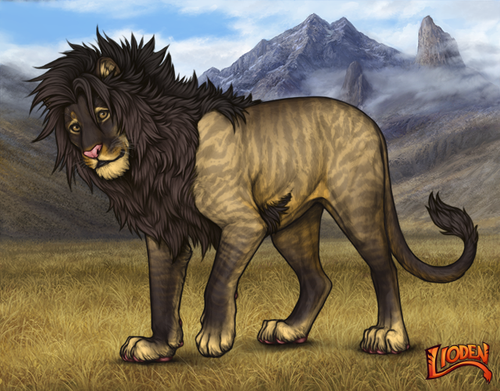 lioden wardrobe 2026 02 02T133635.910.png