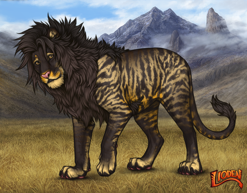 lioden wardrobe 2026 02 02T133706.910.png