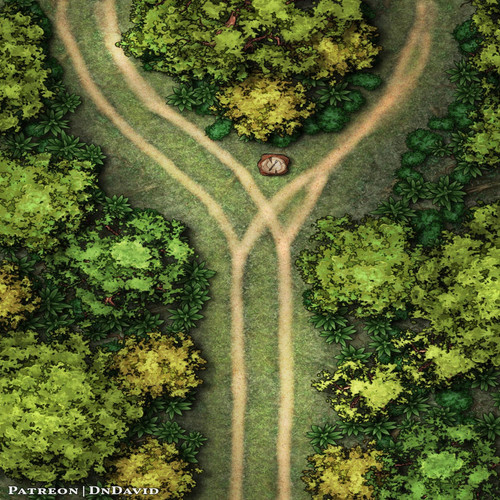 resized a fork in the road dndavid.jpg